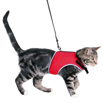 Trixie Kedi Göğüs Tasma Seti Xl 36-54 Cm 120 Cm