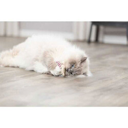 Trixie Kedi Otlu Kumaş Ayı Kedi Oyuncağı 12 Cm - Thumbnail