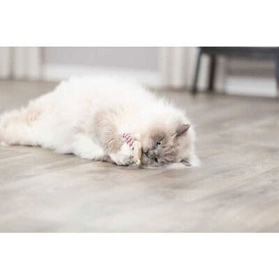 Trixie Kedi Otlu Kumaş Ayı Kedi Oyuncağı 12 Cm 