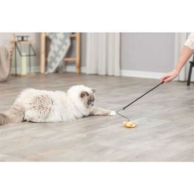 Trixie Kedi Otlu Peluş Balık Kedi Oltası 46 Cm 