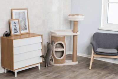 Trixie Kedi Tırmalama ve Oyun Evi 117 Cm Açık Gri Kahverengi