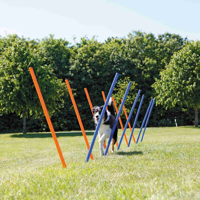 Trixie Agility Köpek Eğitim Direkleri 13x110 Cm 12'li