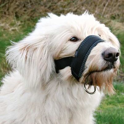 Trixie Doberman Köpek Ağızlığı Large