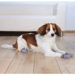 Trixie Kaymaz Tabanlı Köpek Çorabı 2 Adet XS-S Chihuahua - Thumbnail