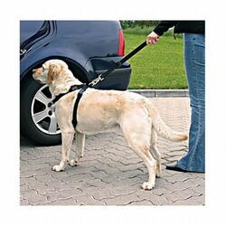 Trixie Köpek Emniyet Kemeri Large 70-90 Cm - Thumbnail