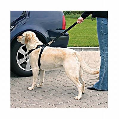 Trixie Köpek Emniyet Kemeri Medium 50-70 Cm 