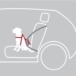 Trixie Köpek Emniyet Kemeri ve Göğüs Tasması Siyah S-M 40-55 Cm 17 Mm - Thumbnail