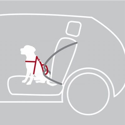 Trixie Köpek Emniyet Kemeri ve Göğüs Tasması Siyah S-M 40-55 Cm 17 Mm 