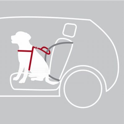 Trixie Köpek Emniyet Kemeri ve Göğüs Tasması Siyah S-M 40-55 Cm 17 Mm 