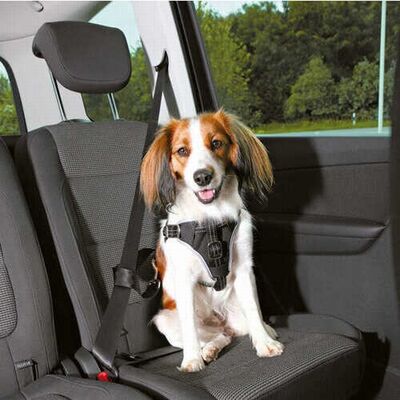 Trixie Köpek Emniyet Kemeri ve Göğüs Tasması Siyah S-M 40-55 Cm 17 Mm 