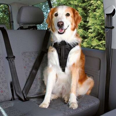 Trixie Köpek Emniyet Kemeri ve Göğüs Tasması Siyah Medium 50x65 Cm 20 mm 