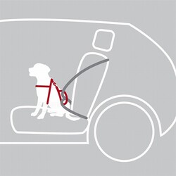 Trixie Köpek Emniyet Kemeri ve Göğüs Tasması Siyah Medium 50x65 Cm 20 mm - Thumbnail