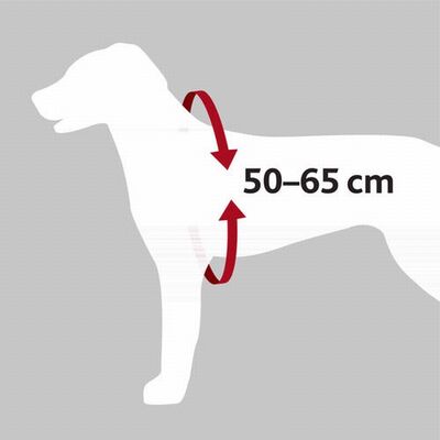 Trixie Köpek Emniyet Kemeri ve Göğüs Tasması Siyah Medium 50x65 Cm 20 mm 