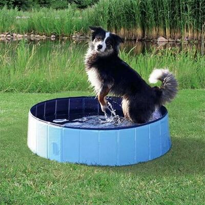 Trixie Köpek Oyun Havuzu Çap 80 Cm Derinlik 20 Cm 