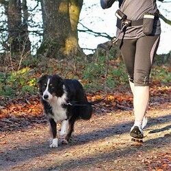 Trixie Köpek Koşu Yürüme Kemeri ve Gezdirme Kayışı - Thumbnail