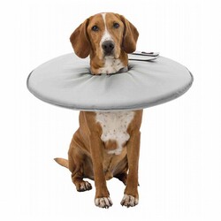 Trixie - Trixie Köpek ve Kedi Yakalığı XS 23-27 Cm 13 Cm Gri 
