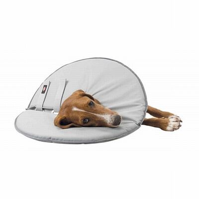 Trixie Köpek ve Kedi Yakalığı XS 23-27 Cm 13 Cm Gri 