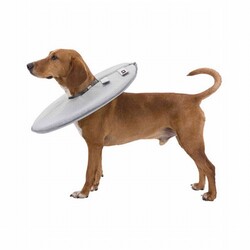 Trixie - Trixie Köpek ve Kedi Yakalığı XXS-XS 18-21 Cm 11 Cm Gri 