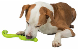 Trixie Termoplastik Yeşil Yılan Köpek Ödül Oyuncağı 42 Cm - Thumbnail