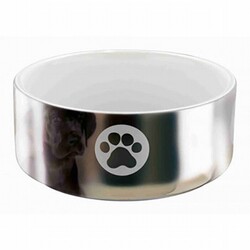 Trixie - Trixie Gümüş Rengi Köpek Seramik Mama Su Kabı 0,3 Lt 12 Cm 
