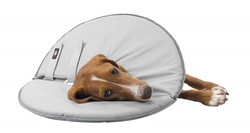 Trixie - Trixie Köpek Yakalığı Large 46-49 Cm 24 Cm Gri
