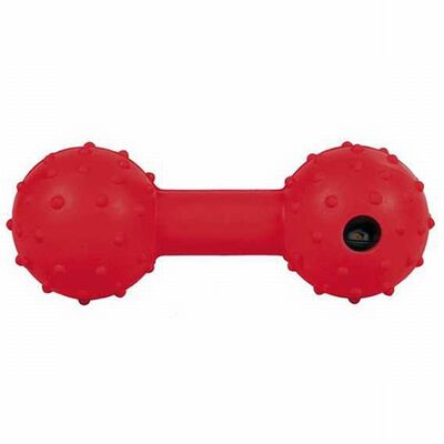 Trixie Dental Zilli Köpek Oyuncağı 12 Cm 
