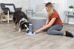 Trixie Kule Köpek Zeka Eğitim Oyuncağı 25x33x25 Cm - Thumbnail