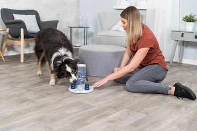 Trixie Kule Köpek Zeka Eğitim Oyuncağı 25x33x25 Cm