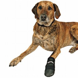 Trixie - Trixie Neopren Köpek Patiği 2 Adet Siyah Large 