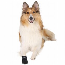 Trixie Neopren Köpek Patiği 2 Adet Siyah XL - Thumbnail