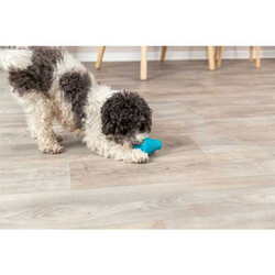 Trixie Ödül Hazneli Naturel Kauçuk Köpek Oyuncağı 12 Cm - Thumbnail