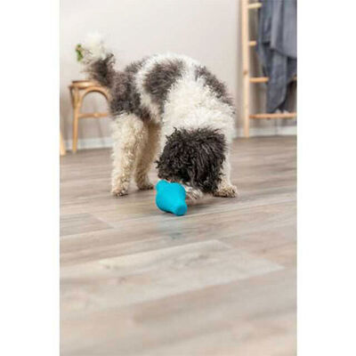 Trixie Ödül Hazneli Naturel Kauçuk Köpek Oyuncağı 12 Cm 