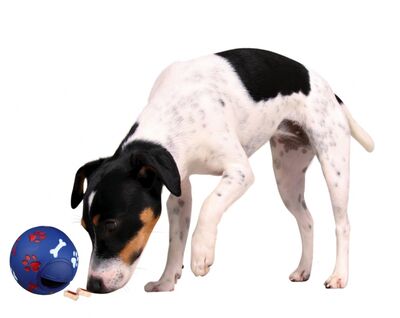 Trixie Ödül Topu Köpek Oyuncağı 14 Cm