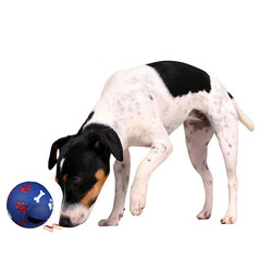 Trixie Ödül Topu Köpek Oyuncağı 14 Cm - Thumbnail