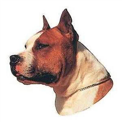Trixie St-Stafford Terrier Köpek Çıkartması 1 Adet 