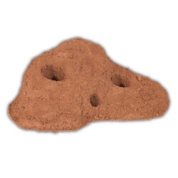 Trixie - Trixie Sürüngen Teraryum Çöl Kumu 5 Kg Kırmızı