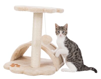 Trixie Yavru Kedi Tırmalama ve Oyun Tahtası 43 Cm