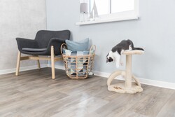 Trixie Yavru Kedi Tırmalama ve Oyun Tahtası 43 Cm - Thumbnail