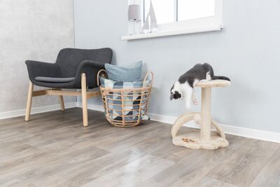 Trixie Yavru Kedi Tırmalama ve Oyun Tahtası 43 Cm