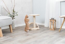 Trixie Yavru Kedi Tırmalama ve Oyun Tahtası 43 Cm - Thumbnail