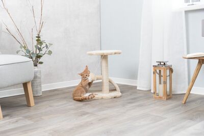 Trixie Yavru Kedi Tırmalama ve Oyun Tahtası 43 Cm