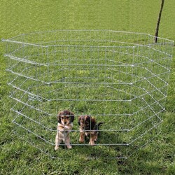 Trixie Yavru ve Küçük Köpek Açık Hava Oyun Alanı 8 Parça 61x91 Cm - Thumbnail