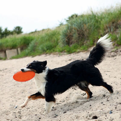 Trixie Yüzen Termoplastik Kauçuk Frizbi Köpek Oyuncağı 22 Cm