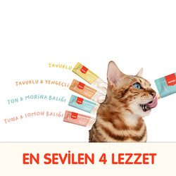 Wanpy Karışık 4 Lezzetli Krema Kedi Ödülü 100x14 Gr - Thumbnail