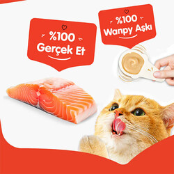 Wanpy Somonlu Kaşık Krema Kedi Ödül Maması 10x16 Gr - Thumbnail