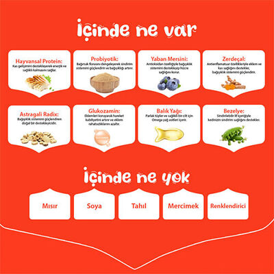 Wanpy With Oven Baked Bites Kuzulu Tahılsız Yavru Köpek Maması 1,5 Kg 