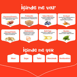 Wanpy With Oven Baked Bites Ördekli Tahılsız Yetişkin Köpek Maması 12 Kg - Thumbnail