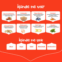 Wanpy With Oven Baked Bites Sığır Etli Tahılsız Yetişkin Köpek Maması 12 Kg - Thumbnail
