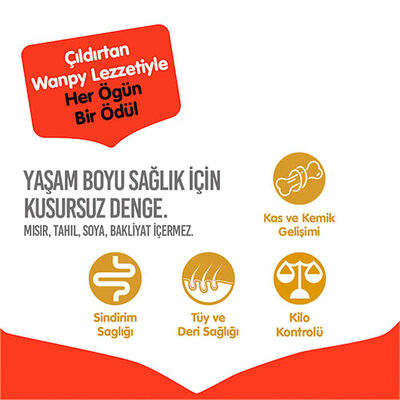 Wanpy With Oven Baked Bites Sığır Etli Tahılsız Yetişkin Köpek Maması 1,5 Kg 