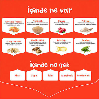 Wanpy With Oven Baked Bites Somonlu Tahılsız Yetişkin Kedi Maması 1,5 Kg 